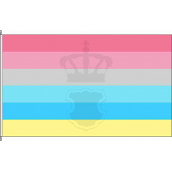   Genderflux